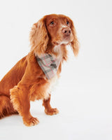 Taupe & Pink Barbour Dog Bandana