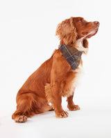 Classic Tartan Barbour Dog Bandana