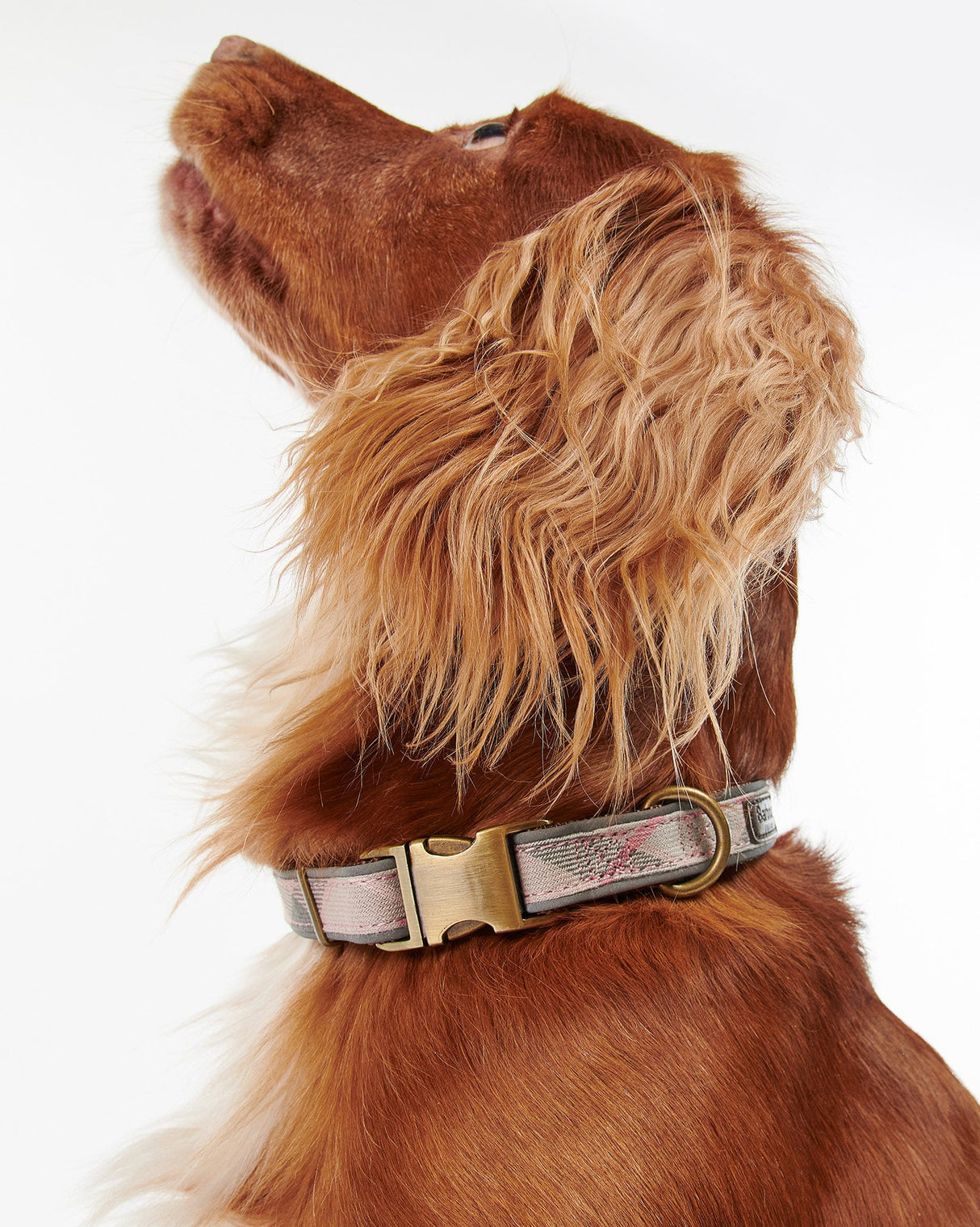 Pink-Tartan-Taupe-Barbour-Relective-Dog-Collar