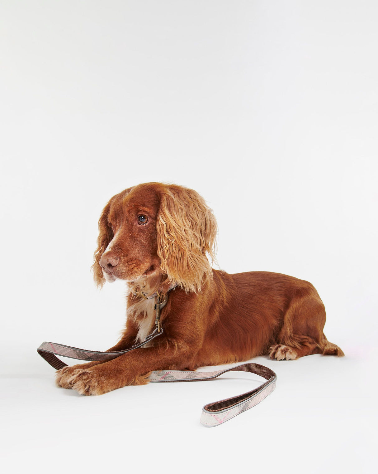 Pink-Tartan-Taupe-Barbour-Relective-Dog-Lead