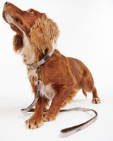 Pink-Tartan-Taupe-Barbour-Relective-Dog-Lead