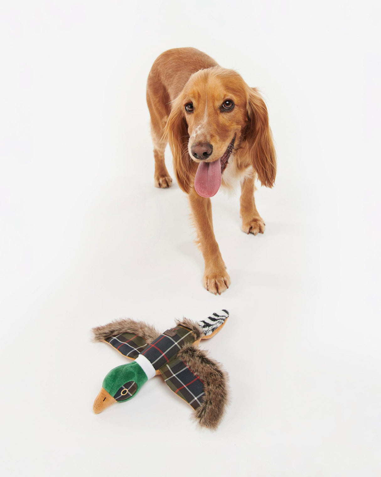 Classic-Tartan-Barbour-Pheasant-Dog-Toy