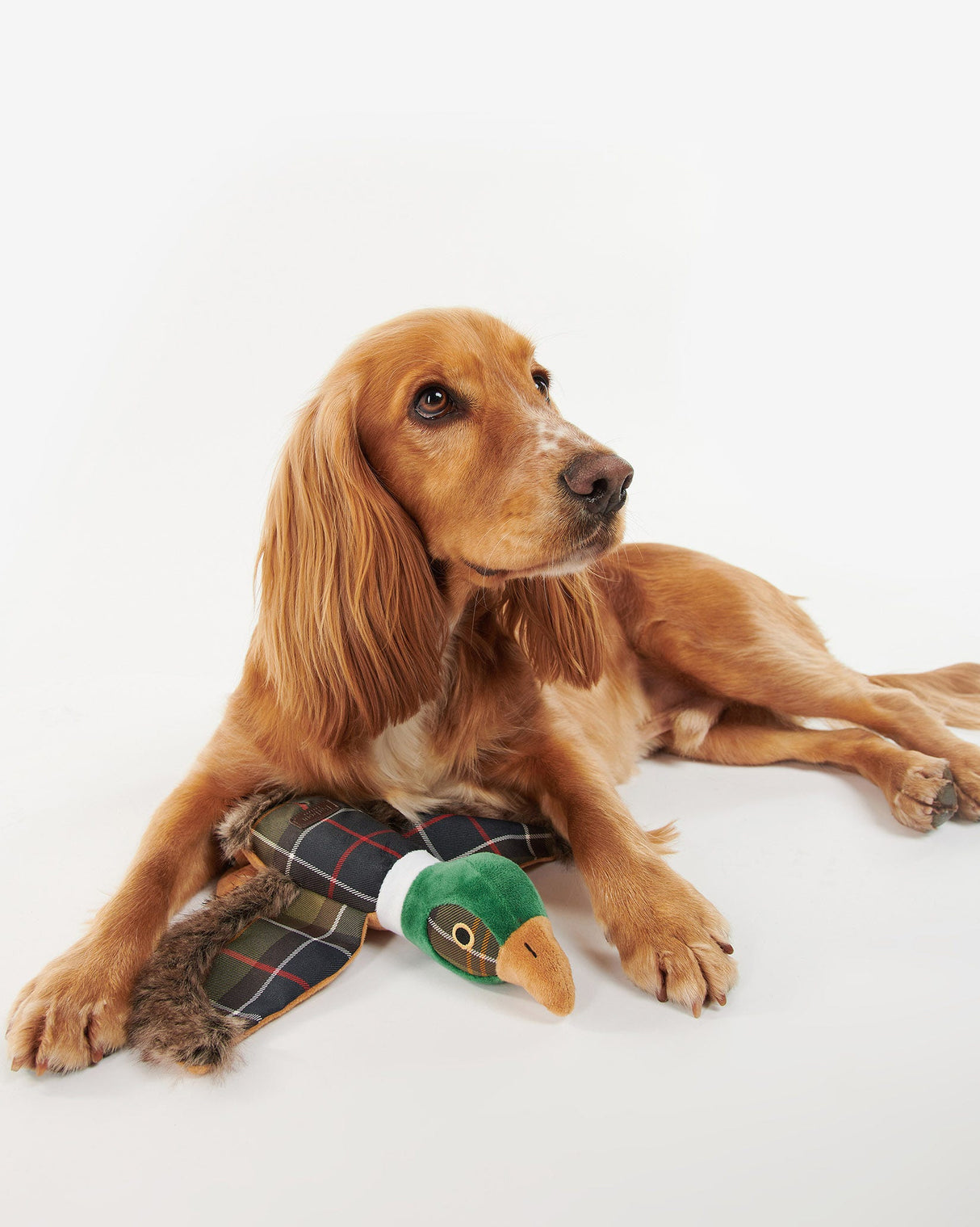 Classic-Tartan-Barbour-Pheasant-Dog-Toy