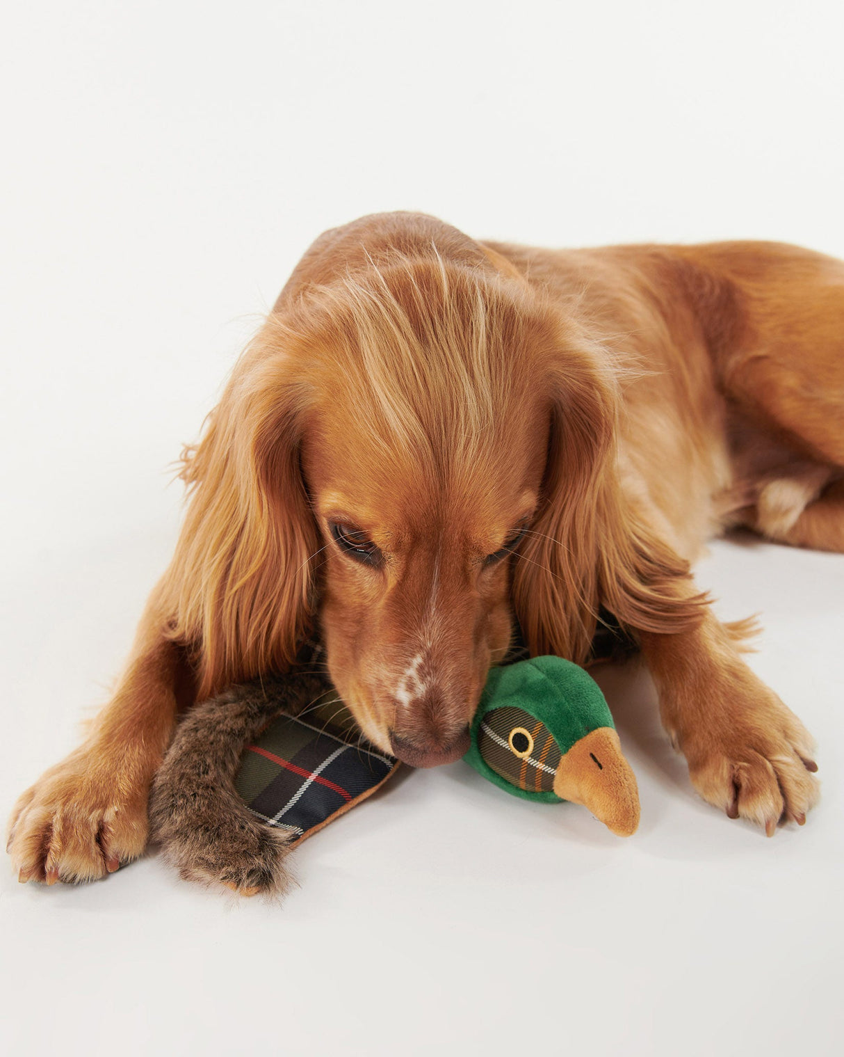 Classic Tartan Barbour Pheasant Dog Toy