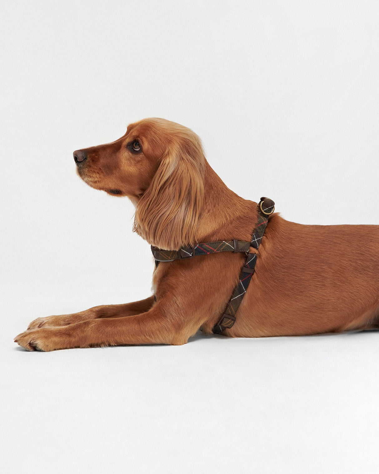 Classic-Tartan-5-Way-Adjustable-Dog-Harness