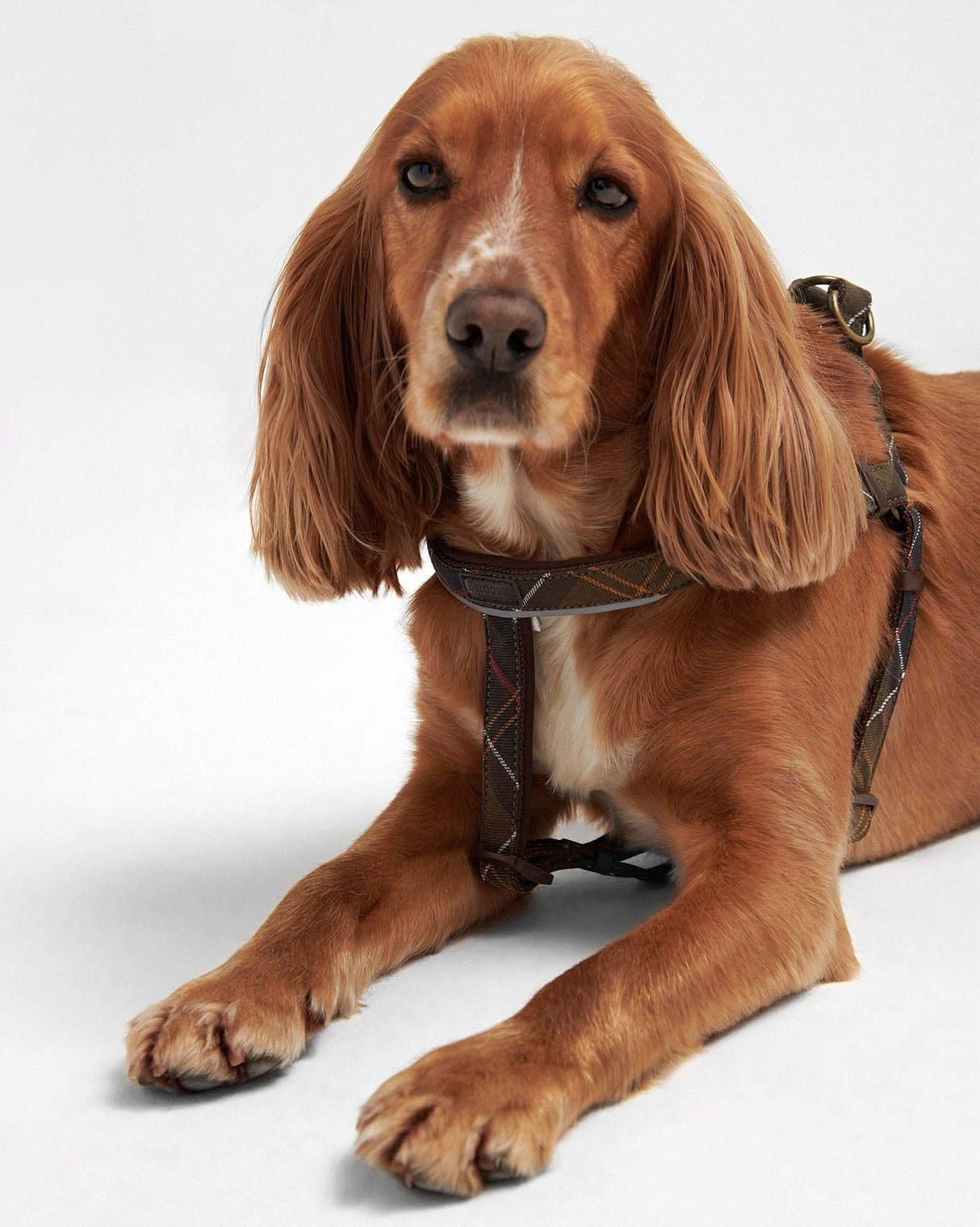 Classic-Tartan-5-Way-Adjustable-Dog-Harness