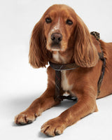 Classic-Tartan-5-Way-Adjustable-Dog-Harness