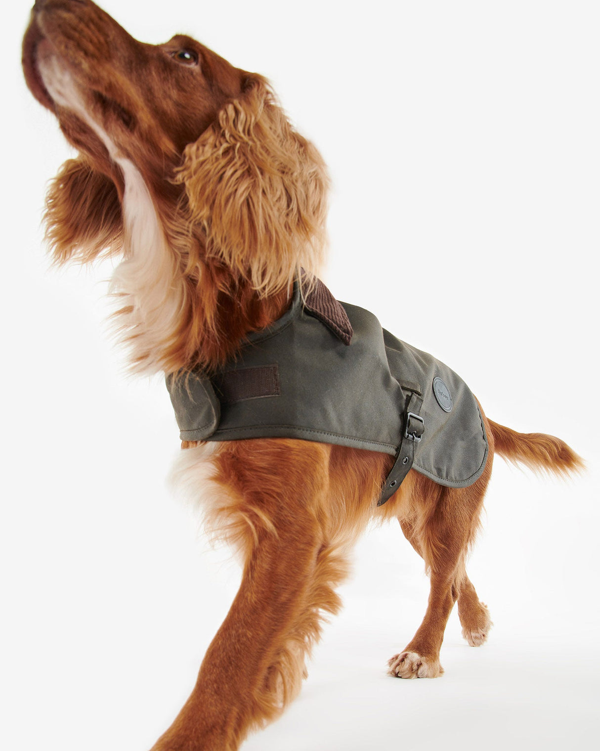 Olive-Barbour-Waxed-Cotton-Dog-Coat
