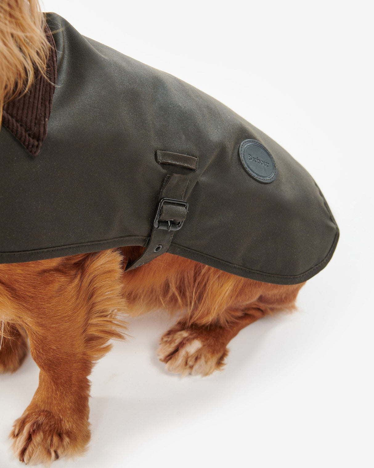 Olive Barbour Waxed Cotton Dog Coat