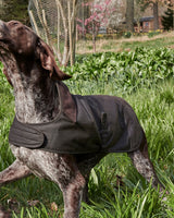 Olive Barbour Waxed Cotton Dog Coat