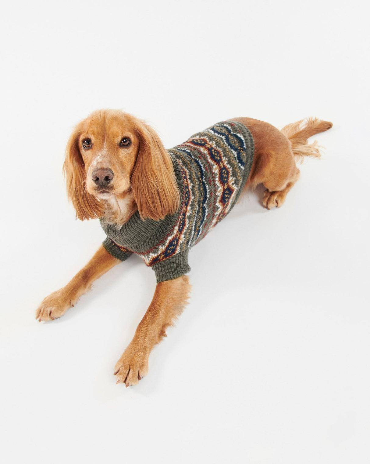 Olive-Fair-Isle-Case-Knit-Dog-Jumper