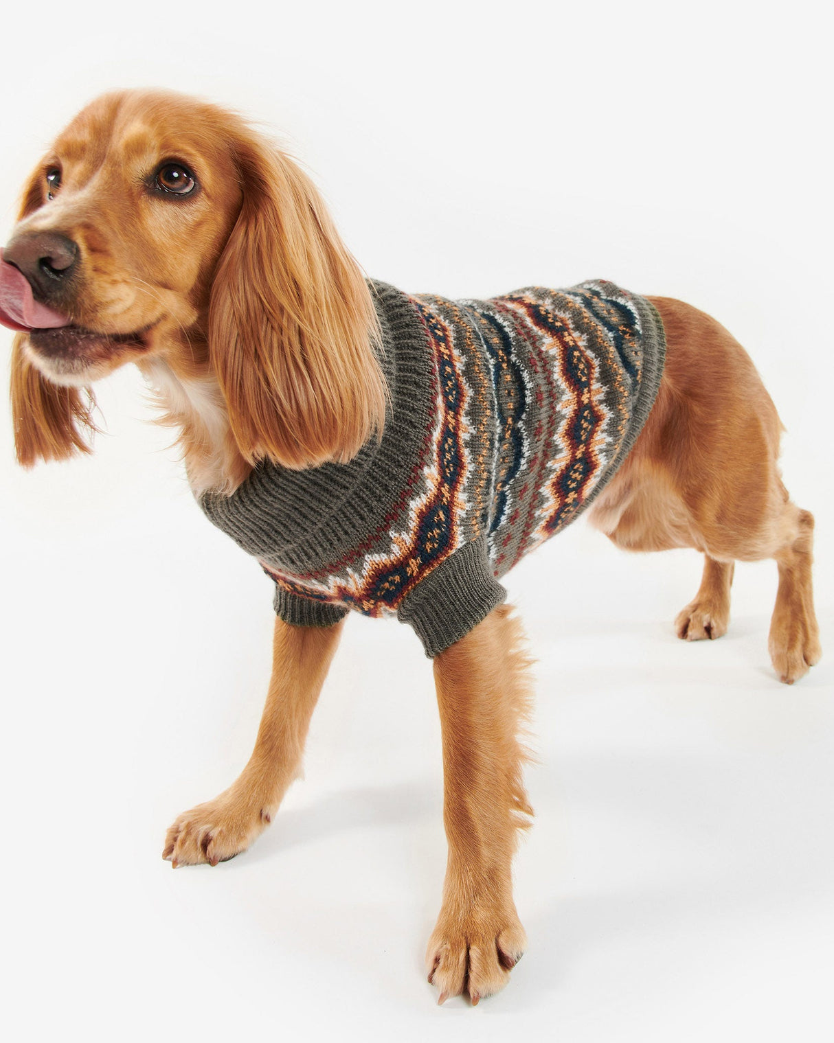 Olive Fair Isle Case Knit Dog Jumper