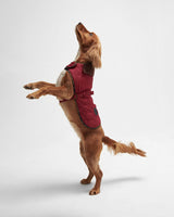 Cranberry Dog Bone Quilted Dog Coat