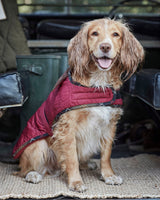 Cranberry Dog Bone Quilted Dog Coat