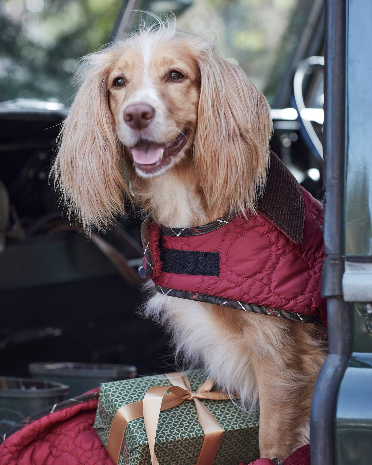 Cranberry Dog Bone Quilted Dog Coat