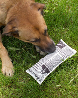 Fake News Squeaky Dog Toy