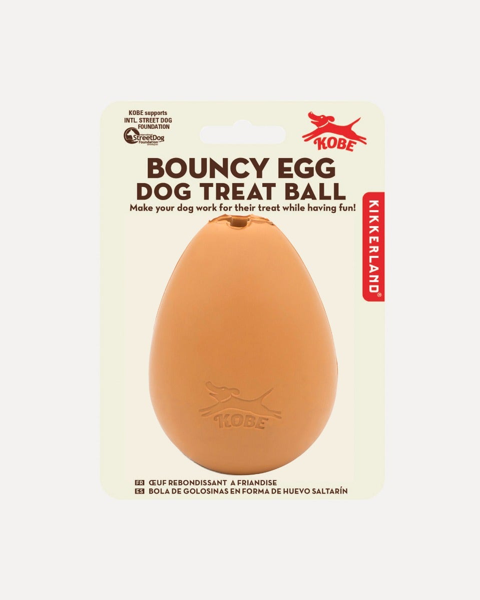 Bouncy Egg Dog Treat Ball