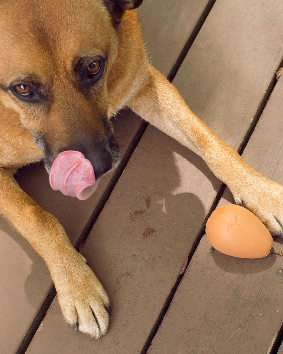 Bouncy Egg Dog Treat Ball