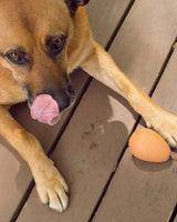 Bouncy Egg Dog Treat Ball