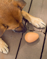 Bouncy Egg Dog Treat Ball