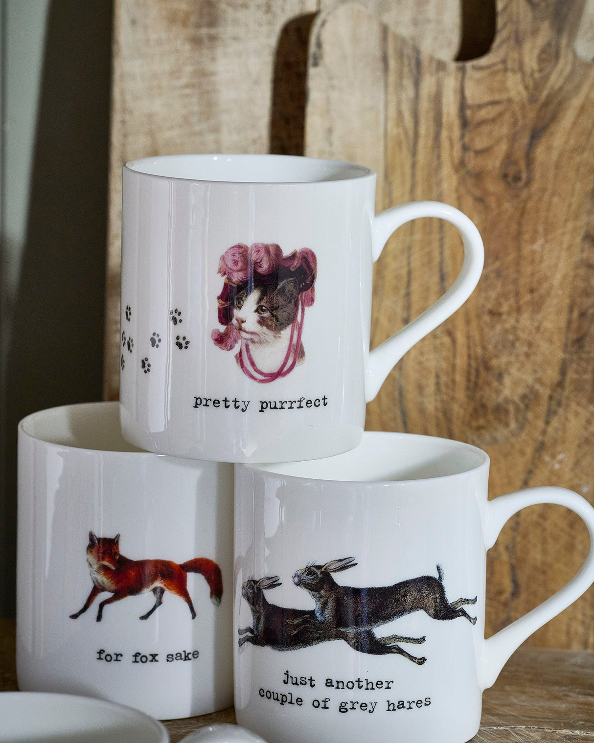 For Fox Sake Mug