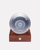 3D-Dandellion-Amber-Crystal-Ball-Light