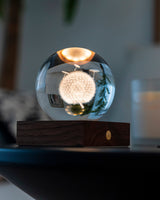 3D-Dandellion-Amber-Crystal-Ball-Light
