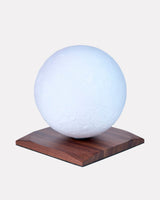 Smart Luna Spin Lamp