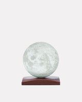 Smart Luna Spin Lamp