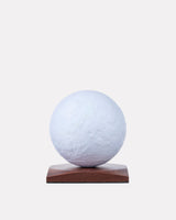 Smart Luna Spin Lamp