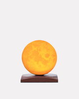 Smart Luna Spin Lamp