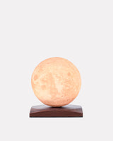 Smart Luna Spin Lamp