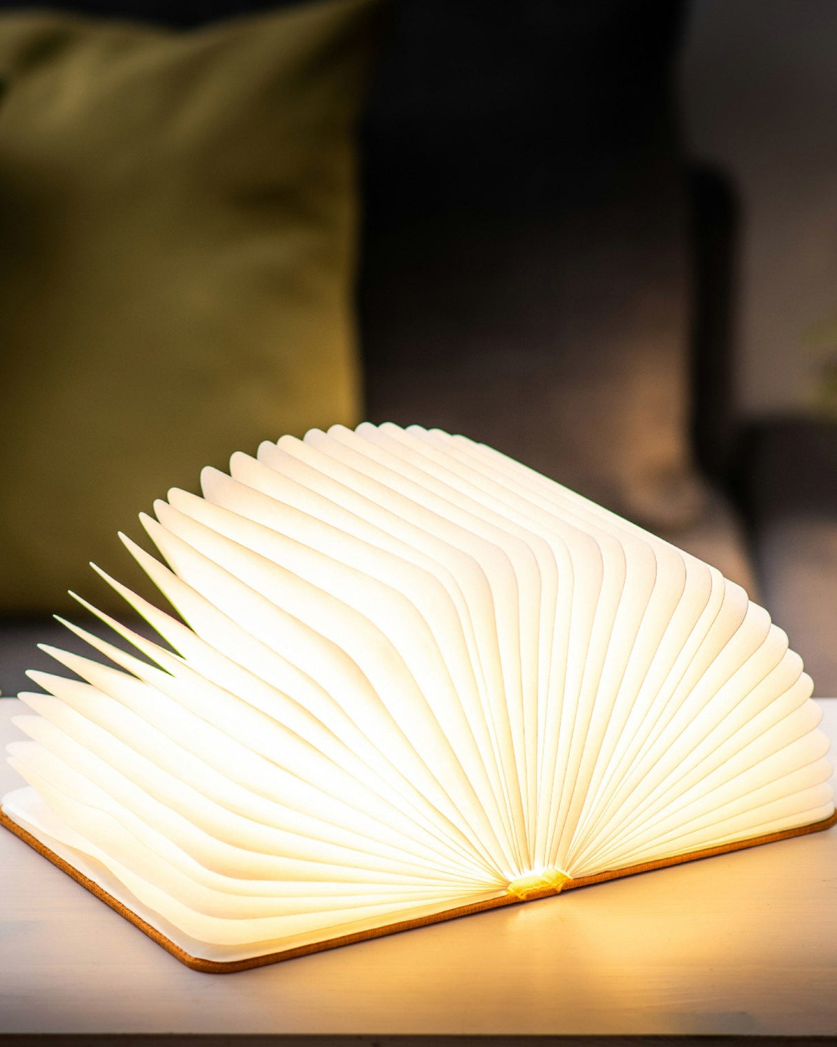 Orange Fabric Smart Book Light