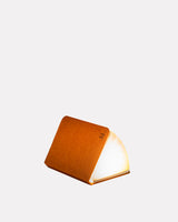 Orange Fabric Smart Book Light