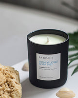 Honeysuckle & Sea Salt Scented Candle