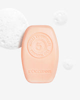 Intensive-Repair-Solid-Shampoo