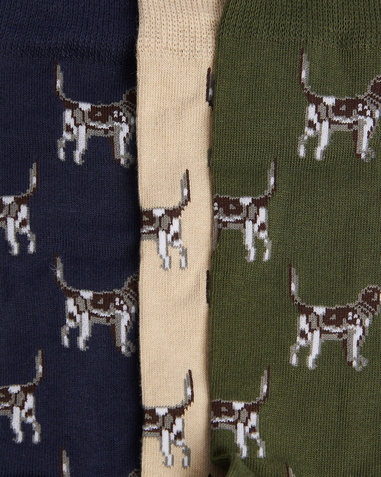 Forest Pointer Dog Men's Sock Gift Set - 3 Pack