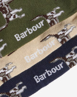 Forest Pointer Dog Men's Sock Gift Set - 3 Pack