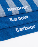 Blue Beagle Dog Socks - Set of 3