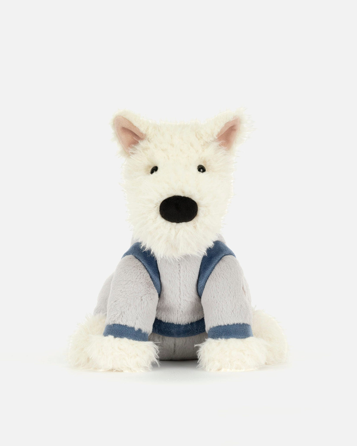 Munro-Scottie-Space-Dog
