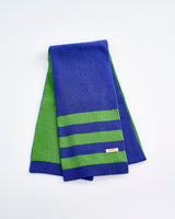 Blue & Green Kid's Super Stripe Scarf