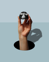The-Black-Sheep-Novelty-Soap