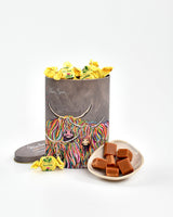 Gardiners-of-Scotland-Ross-Claire-McCoo-Vanilla-Fudge-Tin