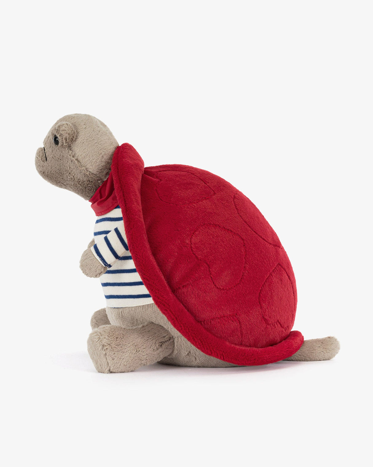 Romantic Timmy Turtle