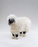 Sordy Black Nose Life Size Wool Sheep