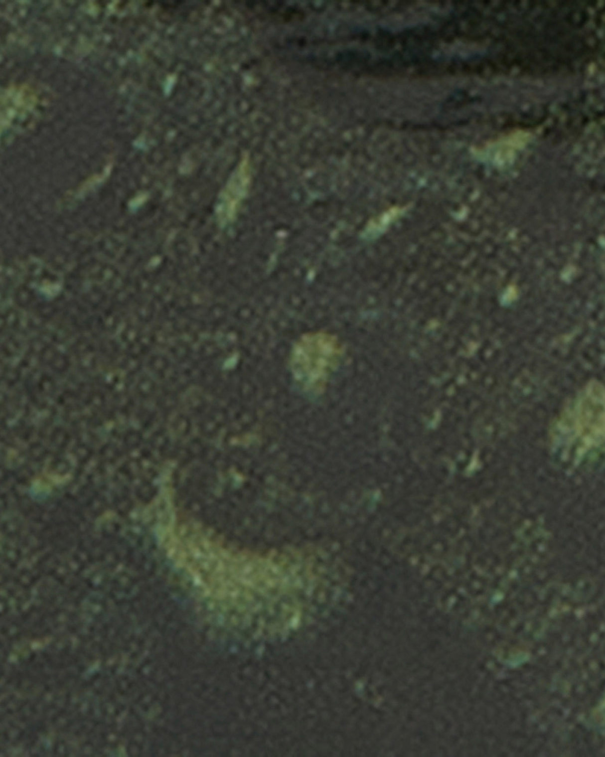 Barbour Thornproof Dressing