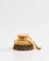 Bamboo-Cactus-Mane-Bristle-Wet-or-Dry-Body-Brush