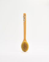 Beechwood-Cactus-Bristle-Long-Handle-Dry-Body-Brush