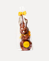 Chocolate Garden Large Milk Chocolate Easter Bunny